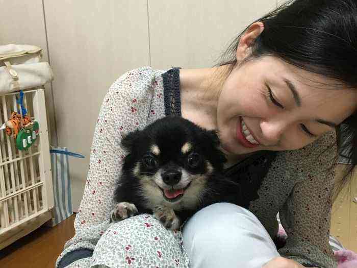 嬉しそうなチワワ