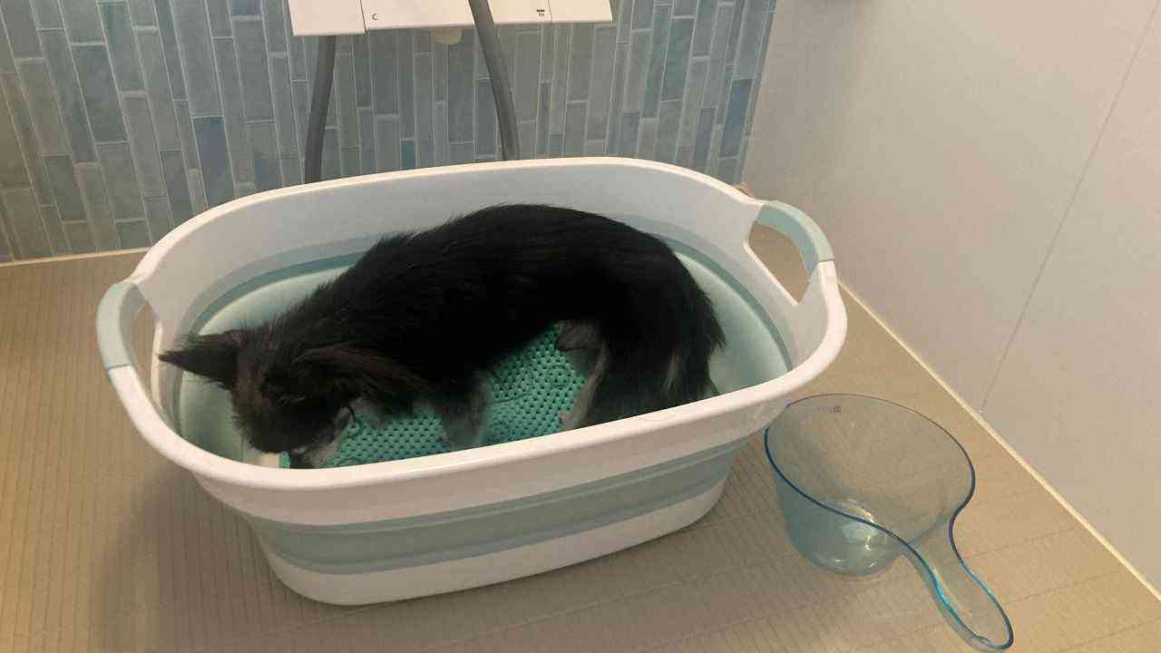 お風呂バスタブ