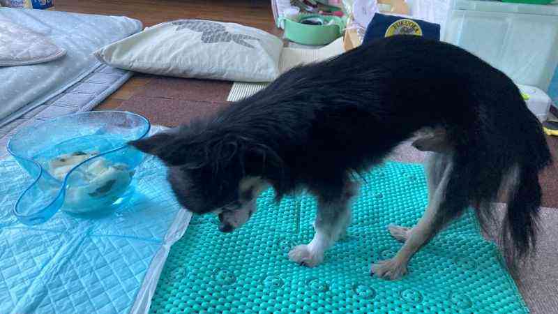 清拭前