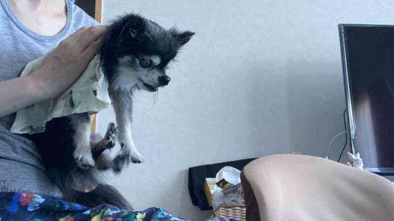 清拭中