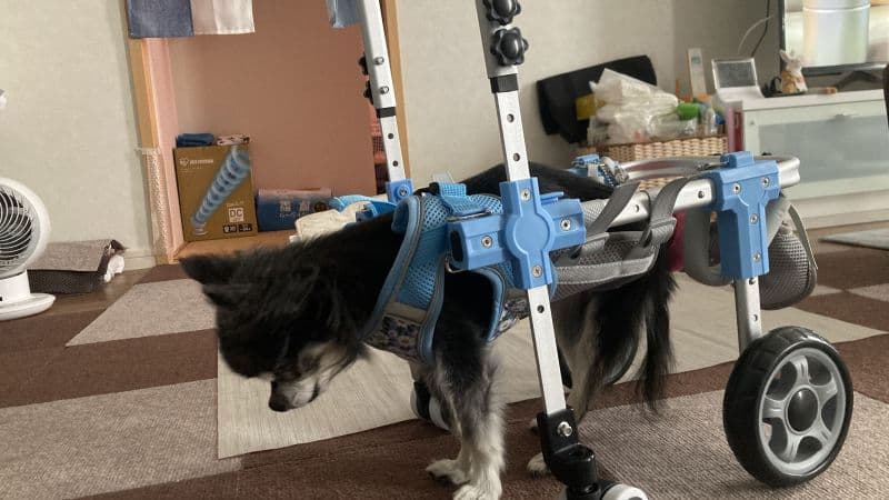 歩行練習