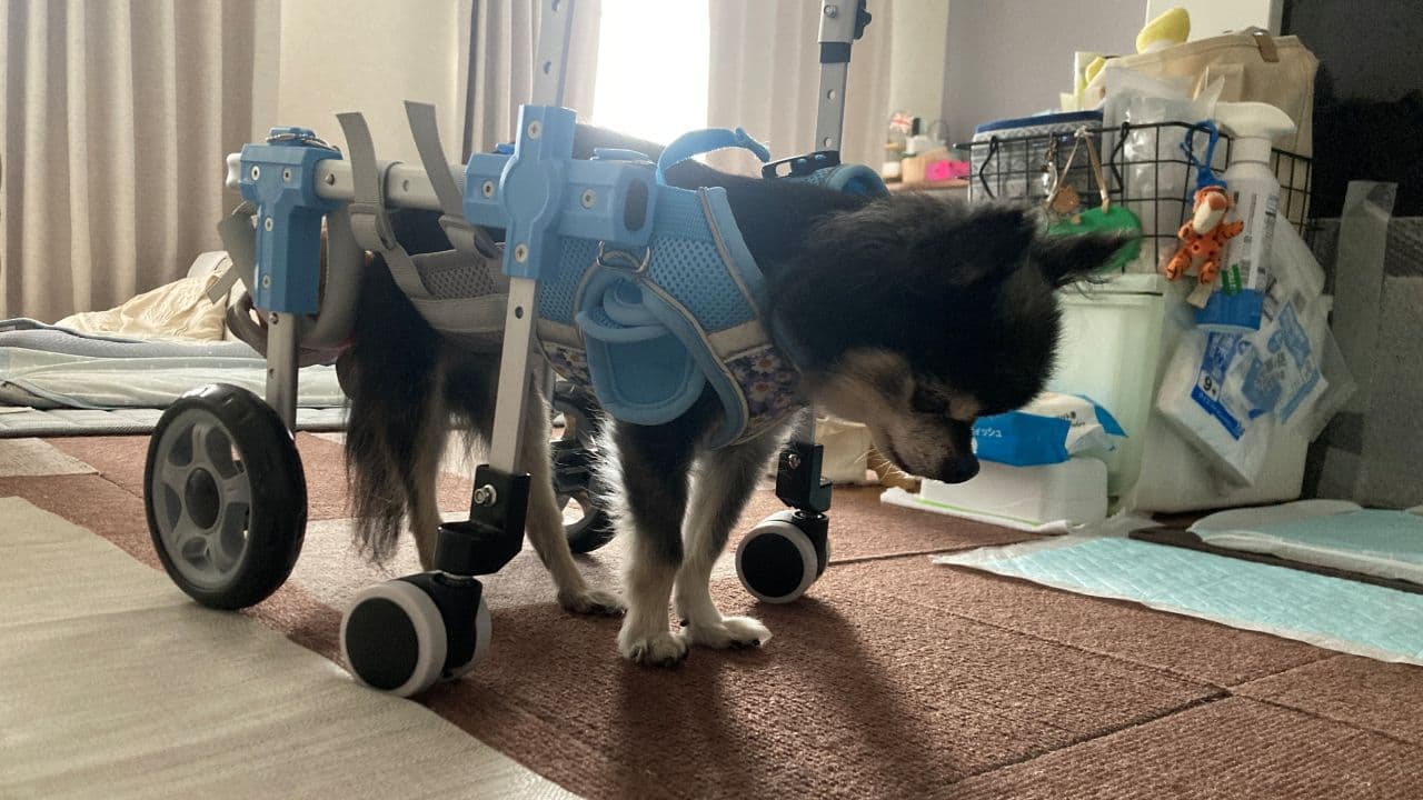 歩行器